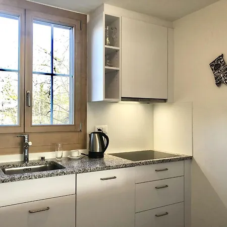 Oberland Nr- 29 Appartement-fewo- Dusche Oder Bad- Wc 6-bettwohnung By Interhome *